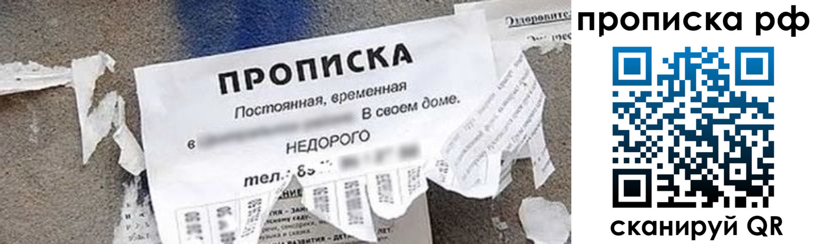где прописаться в Лисках
